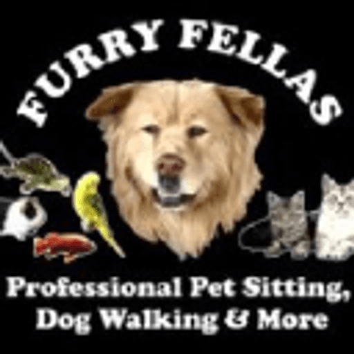 Furry Fellas Pet Service LLC